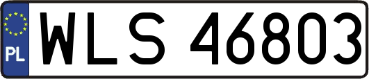 WLS46803