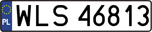 WLS46813