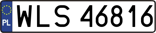 WLS46816