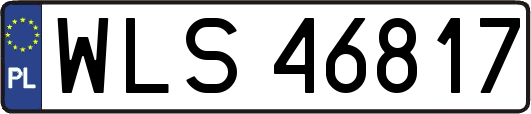 WLS46817