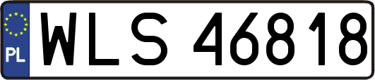 WLS46818