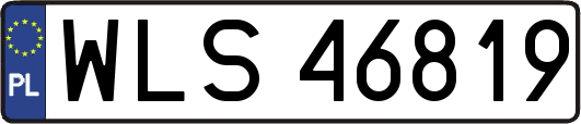 WLS46819