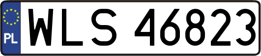 WLS46823