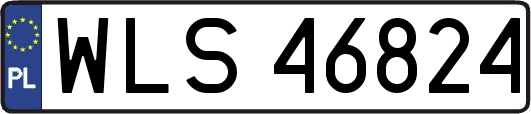 WLS46824