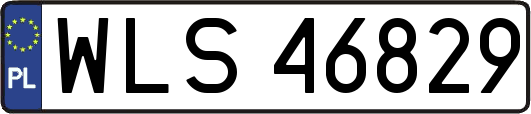 WLS46829