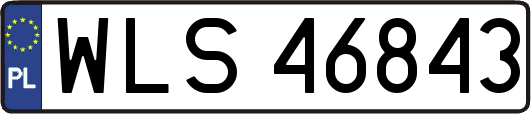 WLS46843