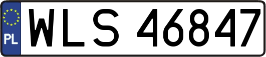 WLS46847