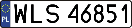 WLS46851
