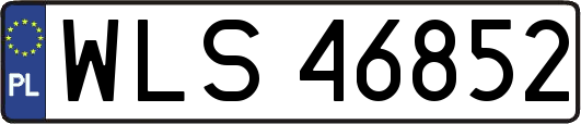 WLS46852