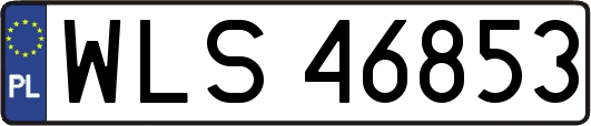 WLS46853