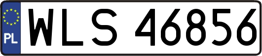 WLS46856