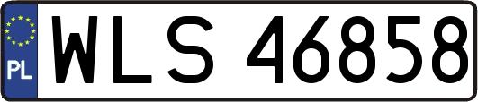 WLS46858