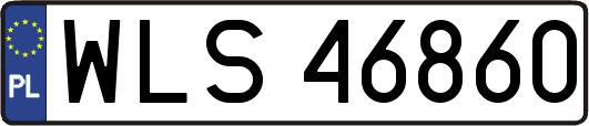 WLS46860