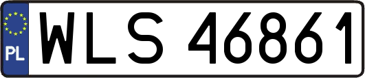 WLS46861