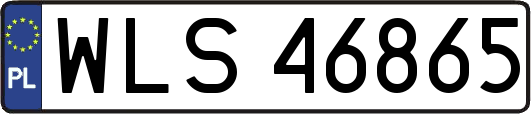 WLS46865