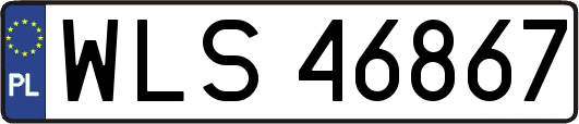 WLS46867