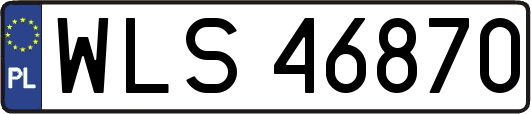 WLS46870