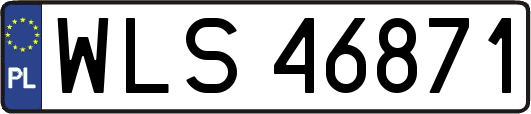 WLS46871