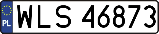 WLS46873