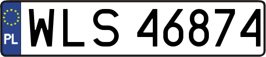 WLS46874