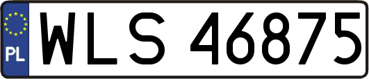WLS46875
