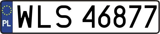 WLS46877