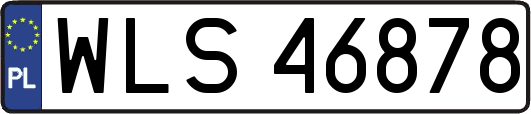 WLS46878