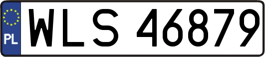 WLS46879