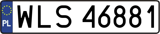 WLS46881