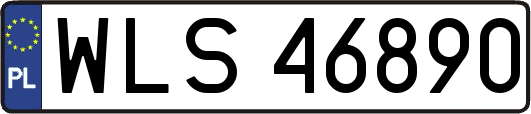 WLS46890