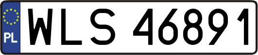 WLS46891
