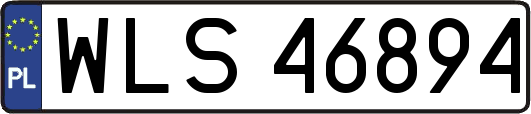 WLS46894