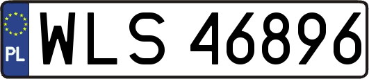WLS46896