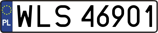 WLS46901