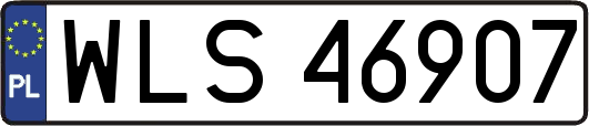 WLS46907