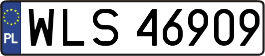 WLS46909