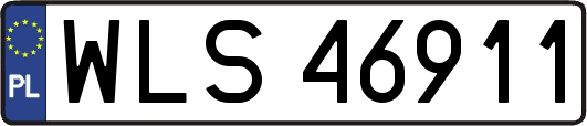 WLS46911