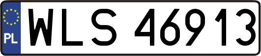 WLS46913
