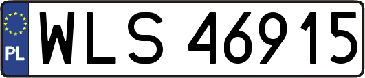 WLS46915