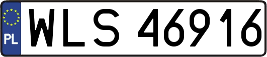 WLS46916