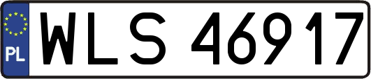 WLS46917