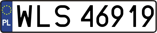 WLS46919