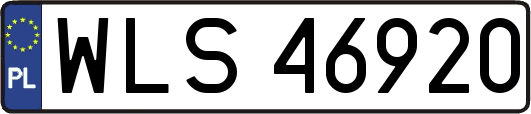 WLS46920