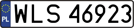 WLS46923