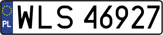 WLS46927