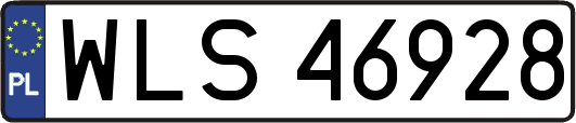 WLS46928