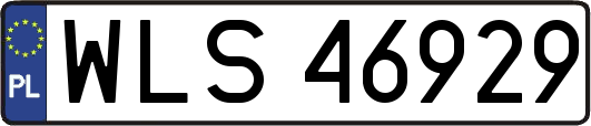 WLS46929