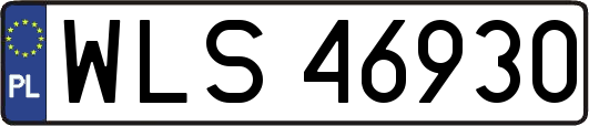 WLS46930