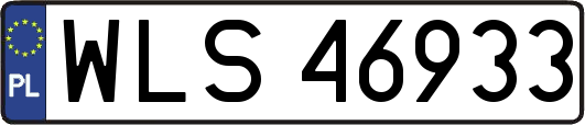 WLS46933
