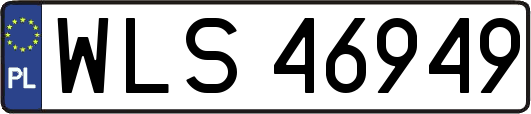 WLS46949